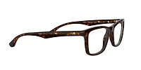 RB5279 Optics