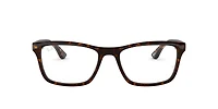 RB5279 Optics