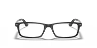 RB5277 Optics