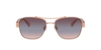 HC7161 CR617
