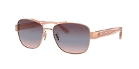 HC7161 CR617