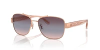 HC7161 CR617
