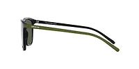 AN4301 Fry