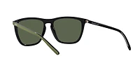 AN4301 Fry