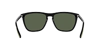 AN4301 Fry