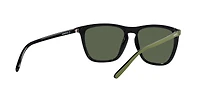 AN4301 Fry