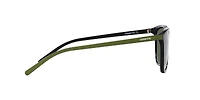 AN4301 Fry