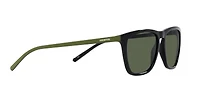 AN4301 Fry