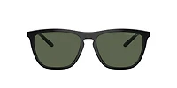AN4301 Fry