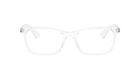 RB7047 Optics