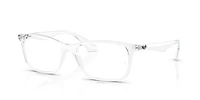 RB7047 Optics