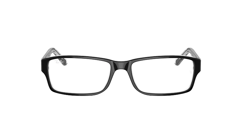 RB5169 Optics