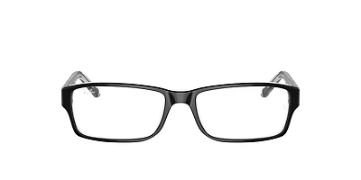RB5169 Optics