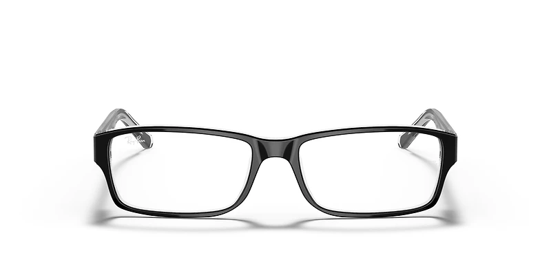 RB5169 Optics