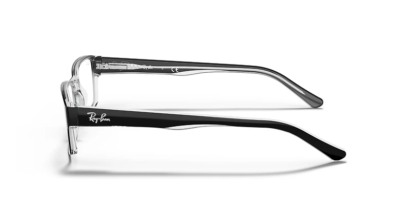 RB5169 Optics