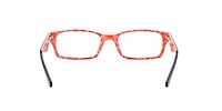 RB5206 Optics