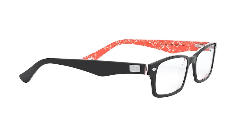 RB5206 Optics