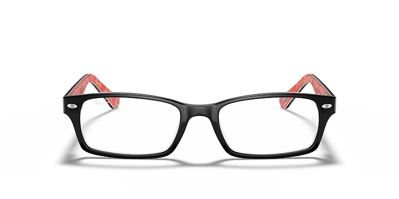 RB5206 Optics