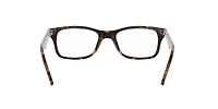 RB5228 Optics