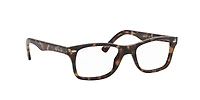 RB5228 Optics