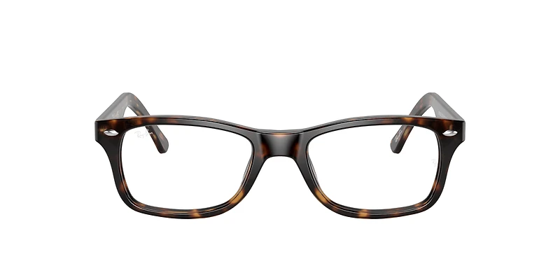 RB5228 Optics