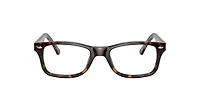 RB5228 Optics