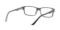 RB5245 Optics