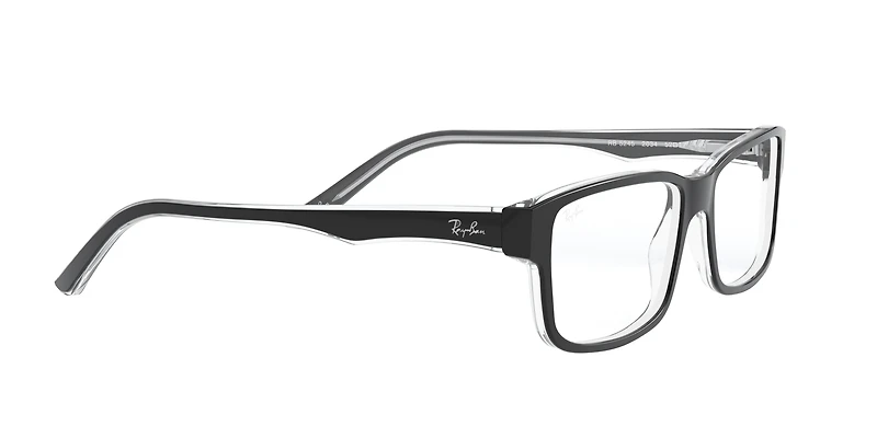 RB5245 Optics