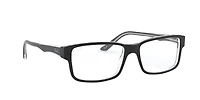 RB5245 Optics