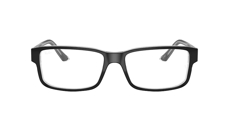 RB5245 Optics