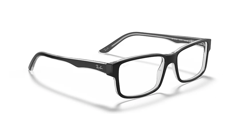RB5245 Optics