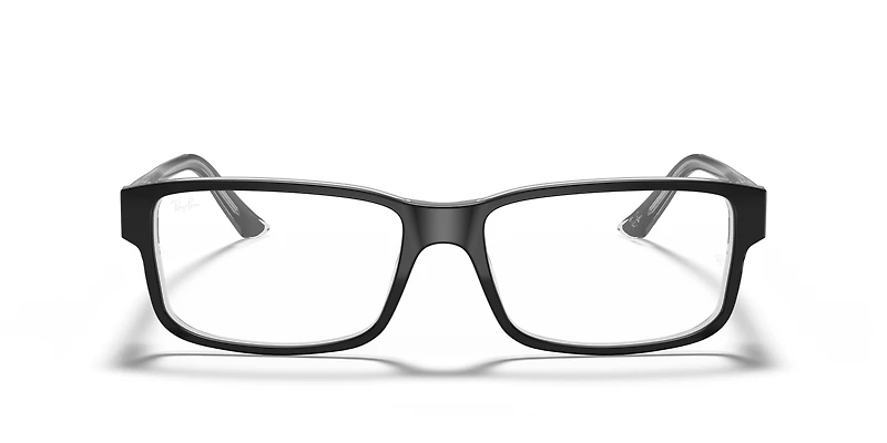 RB5245 Optics