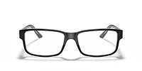 RB5245 Optics