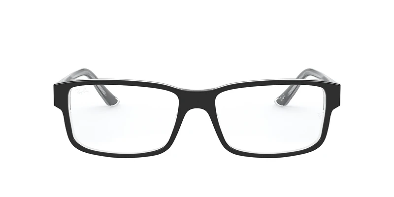RB5245 Optics