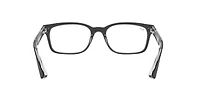 RB5286 Optics