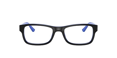 RB5268 Optics
