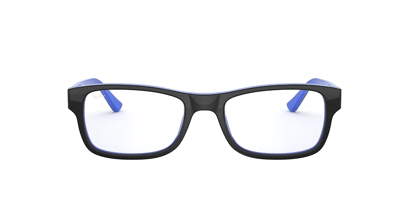 RB5268 Optics