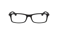 RB7017 Optics