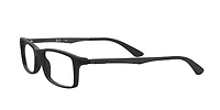 RB7017 Optics