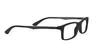 RB7017 Optics