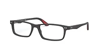 RB5277 Optics