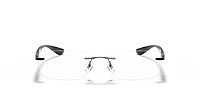 RB8724 Optics