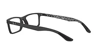 RB8901 Optics