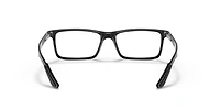 RB8901 Optics