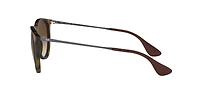 RB4171F Erika Classic