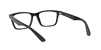 RB7025 Optics