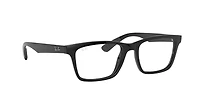 RB7025 Optics