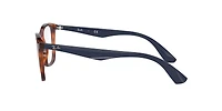 RB7066 Optics