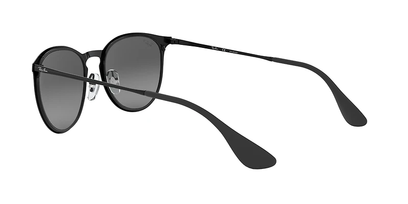 RB3539 Erika Metal