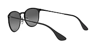 RB3539 Erika Metal